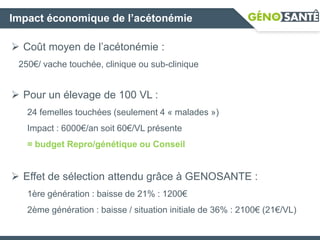 Impact économique de l’acétonémie
 Coût moyen de l’acétonémie :
250€/ vache touchée, clinique ou sub-clinique
 Pour un élevage de 100 VL :
24 femelles touchées (seulement 4 « malades »)
Impact : 6000€/an soit 60€/VL présente
= budget Repro/génétique ou Conseil
 Effet de sélection attendu grâce à GENOSANTE :
1ère génération : baisse de 21% : 1200€
2ème génération : baisse / situation initiale de 36% : 2100€ (21€/VL)
 