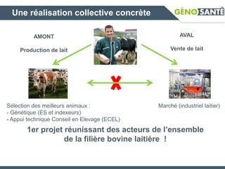 Sélection des meilleurs animaux :
- Génétique (ES et indexeurs)
- Appui technique Conseil en Elevage (ECEL)
Marché (industriel laitier)
AMONT
Production de lait
AVAL
Vente de lait
1er projet réunissant des acteurs de l’ensemble
de la filière bovine laitière !
Une réalisation collective concrète
 