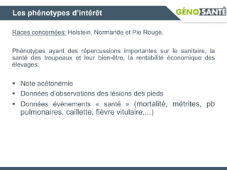 Les phénotypes d’intérêt
Races concernées: Holstein, Normande et Pie Rouge.
Phénotypes ayant des répercussions importantes sur le sanitaire, la
santé des troupeaux et leur bien-être, la rentabilité économique des
élevages:
 Note acétonémie
 Données d’observations des lésions des pieds
 Données évènements « santé » (mortalité, métrites, pb
pulmonaires, caillette, fièvre vitulaire,...)
 