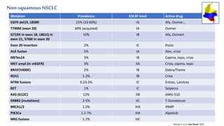 Non-squamousNSCLC
2020
Mutation Prevalence ESCAT level Active drug
EGFR del19, L858R 15% (10-60%) IA Afa, Osimer…
T790M (exon 20) 60% (acquired) IA Osimer
G719X in exon 18, L861Q in
exon 21, S768I in exon 20
10% IB Afa, Osimert
Exon 20 insertion 2% IC Pozio
ALK fusion 5% IA Alec, crizo
METex14 3% IB Capma, tepo, crizo
MET ampl (in mEGFR) 3% IIA Crizo, capma, tepo
BRAF(V600E) 2% IB Dabra/Trame
ROS1 1-2% IB Crizo
NTRK fusions 0.23-3% IC Entrec, Larotrec
RET 1% IC Selperca
RAS (G12C) 12% IIB AMG-510
ERBB2 (mutations) 2-5% IIC T-Duroxtecan
BRCA1/2 1.2% IIIA iPARP
PIK3Ca 1.2-7% IIIA Alpelisib
NRG fusions 1.2% IIIC
Mosele F, et al. Ann Oncol, 2020
 