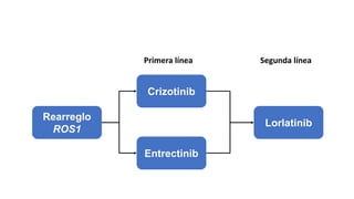 Rearreglo
ROS1
Crizotinib
Entrectinib
Lorlatinib
Primera línea Segunda línea
o Cabozantinib
o Ceritinib
 