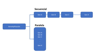 Genotipificación
Gen A Gen B Gen C Gen X
Gen A
Gen B
Gen C
.
.
.
Gen X
Secuencial
Paralela
 