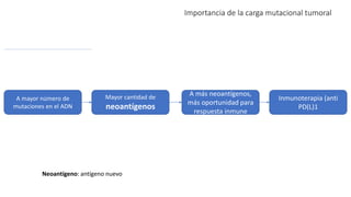 Importancia de la carga mutacional tumoral
A mayor número de
mutaciones en el ADN
Mayor cantidad de
neoantígenos
Neoantígeno: antígeno nuevo
A más neoantígenos,
más oportunidad para
respuesta inmune
Inmunoterapia (anti
PD(L)1
 