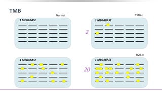 TMB
1 MEGABASE 1 MEGABASE
1 MEGABASE 1 MEGABASE
Normal TMB-L
TMB-H
2
20
 