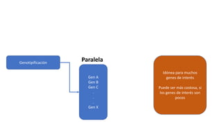 Genotipificación
Gen A
Gen B
Gen C
.
.
.
Gen X
Paralela
Idónea para muchos
genes de interés
Puede ser más costosa, si
los genes de interés son
pocos
 