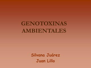GENOTOXINAS
AMBIENTALES
Silvana Juárez
Juan Lillo
 