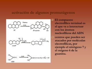 GENOTOX.ppt