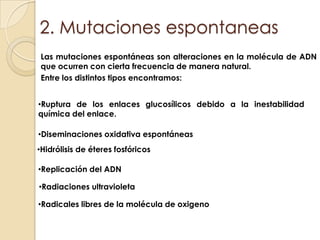 Daños fortuitos en el ADN. 