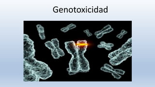 Genotoxicidad
 