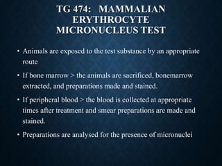 TG 474: MAMMALIAN
ERYTHROCYTE
MICRONUCLEUS TEST
• Animals are exposed to the test substance by an appropriate
route
• If bone marrow > the animals are sacrificed, bonemarrow
extracted, and preparations made and stained.
• If peripheral blood > the blood is collected at appropriate
times after treatment and smear preparations are made and
stained.
• Preparations are analysed for the presence of micronuclei
 