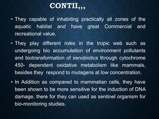 CONTII,,,
• They capable of inhabiting practically all zones of the
aquatic habitat and have great Commercial and
recreational value.
• They play different roles in the tropic web such as
undergoing bio accumulation of environment pollutants
and biotransformation of xenobiotics through cytochrome
450- dependent oxidative metabolism like mammals,
besides they respond to mutagens at low concentration.
• In Addition as compared to mammalian cells, they have
been shown to be more sensitive for the induction of DNA
damage, there for they can used as sentinel organism for
bio-monitoring studies.
 