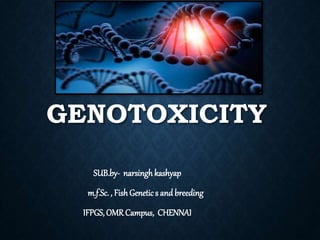 GENOTOXICITY
SUB.by- narsingh kashyap
m.f.Sc. , FishGenetic s and breeding
IFPGS, OMR Campus, CHENNAI
 