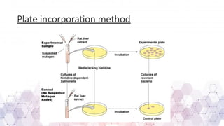 Plate incorporation method
 
