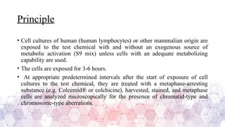 Principle
• Cell cultures of human (human lymphocytes) or other mammalian origin are
exposed to the test chemical with and without an exogenous source of
metabolic activation (S9 mix) unless cells with an adequate metabolizing
capability are used.
• The cells are exposed for 3-6 hours.
• At appropriate predetermined intervals after the start of exposure of cell
cultures to the test chemical, they are treated with a metaphase-arresting
substance (e.g. Colcemid® or colchicine), harvested, stained, and metaphase
cells are analyzed microscopically for the presence of chromatid-type and
chromosome-type aberrations.
 