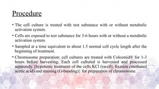 Procedure
• The cell culture is treated with test substance with or without metabolic
activation system.
• Cells are exposed to test substance for 3-6 hours with or without a metabolic
activation system.
• Sampled at a time equivalent to about 1.5 normal cell cycle length after the
beginning of treatment.
• Chromosome preparation: cell cultures are treated with Colcemid® for 1-3
hours before harvesting. Each cell cultured is harvested and processed
separately {hypotonic treatment of the cells KCl (swell), fixation (methanol
acetic acid) and staining (G-banding)} for preparation of chromosome.
 