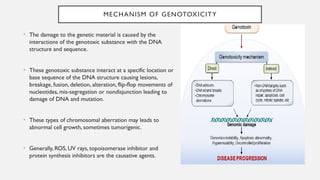 Genotoxicity Studies: Mechanisms, Tests, and Applications in ...