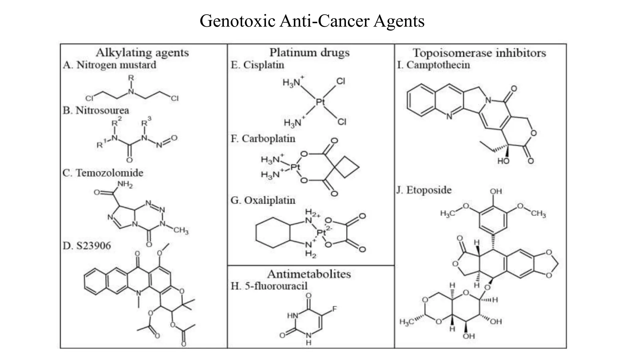 Genotoxic Anti-Cancer Agents
 