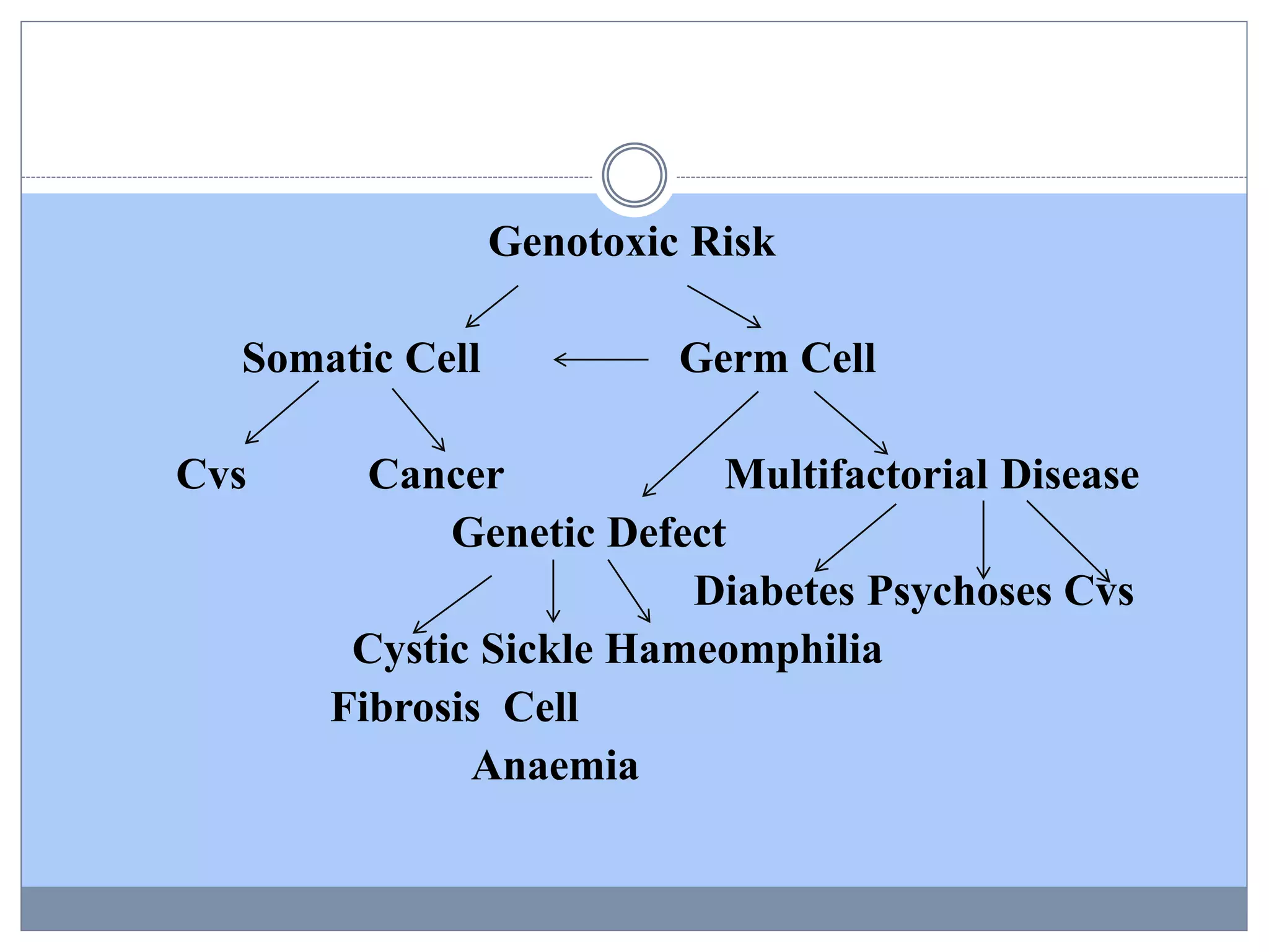 Genotoxic Risk
Somatic Cell Germ Cell
Cvs Cancer Multifactorial Disease
Genetic Defect
Diabetes Psychoses Cvs
Cystic Sickle Hameomphilia
Fibrosis Cell
Anaemia
 
