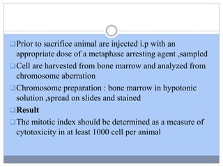 Prior to sacrifice animal are injected i.p with an
appropriate dose of a metaphase arresting agent ,sampled
Cell are harvested from bone marrow and analyzed from
chromosome aberration
Chromosome preparation : bone marrow in hypotonic
solution ,spread on slides and stained
Result
The mitotic index should be determined as a measure of
cytotoxicity in at least 1000 cell per animal
 