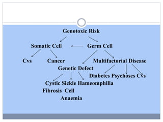 Genotoxic Risk
Somatic Cell Germ Cell
Cvs Cancer Multifactorial Disease
Genetic Defect
Diabetes Psychoses Cvs
Cystic Sickle Hameomphilia
Fibrosis Cell
Anaemia
 