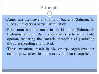 Principle
Ames test uses several strains of bacteria (Salmonella,
E.coli) that carry a particular mutation.
Point mutations are made in the histidine (Salmonella
typhimurium) or the tryptophan (Escherichia coli)
operon, rendering the bacteria incapable of producing
the corresponding amino acid.
These mutations result in his- or trp- organisms that
cannot grow unless histidine or tryptophan is supplied.
 