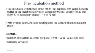 07-11-2017 11
Pre-incubation method
Pre-incubated with the test strain .05-0.1ml (approx. 108 cells) & sterile
buffer or the metabolic activation system (s9 0.5 ml) usually for 20 min
@30-37°c [aeration+ shaker – 48 to 72 hrs]
Mix overlay agar (2ml) and pouring onto the surface of a minimal agar
plate
REPORT
• number of revertant colonies per plate ( with +ve & -ve coloies nos)
• Standard deviation
 