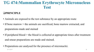 07-11-2017 18
TG 474:Mammalian Erythrocyte Micronucleus
Test
PRINCIPLE
• Animals are exposed to the test substance by an appropriate route
• If bone marrow > the animals are sacrificed, bone marrow extracted, and
preparations made and stained
• If peripheral blood > the blood is collected at appropriate times after treatment
and smear preparations are made and stained.
• Preparations are analysed for the presence of micronuclei.
 