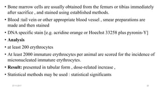 07-11-2017 20
• Bone marrow cells are usually obtained from the femurs or tibias immediately
after sacrifice , and stained using established methods.
• Blood :tail vein or other appropriate blood vessel , smear preparations are
made and then stained
• DNA specific stain [e.g. acridine orange or Hoechst 33258 plus pyronin-Y]
• Analysis
• at least 200 erythrocytes
• At least 2000 immature erythrocytes per animal are scored for the incidence of
micronucleated immature erythrocytes.
• Result: presented in tabular form , dose-related increase ,
• Statistical methods may be used : statistical significants
 