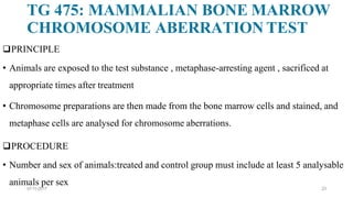 07-11-2017 23
TG 475: MAMMALIAN BONE MARROW
CHROMOSOME ABERRATION TEST
PRINCIPLE
• Animals are exposed to the test substance , metaphase-arresting agent , sacrificed at
appropriate times after treatment
• Chromosome preparations are then made from the bone marrow cells and stained, and
metaphase cells are analysed for chromosome aberrations.
PROCEDURE
• Number and sex of animals:treated and control group must include at least 5 analysable
animals per sex
 