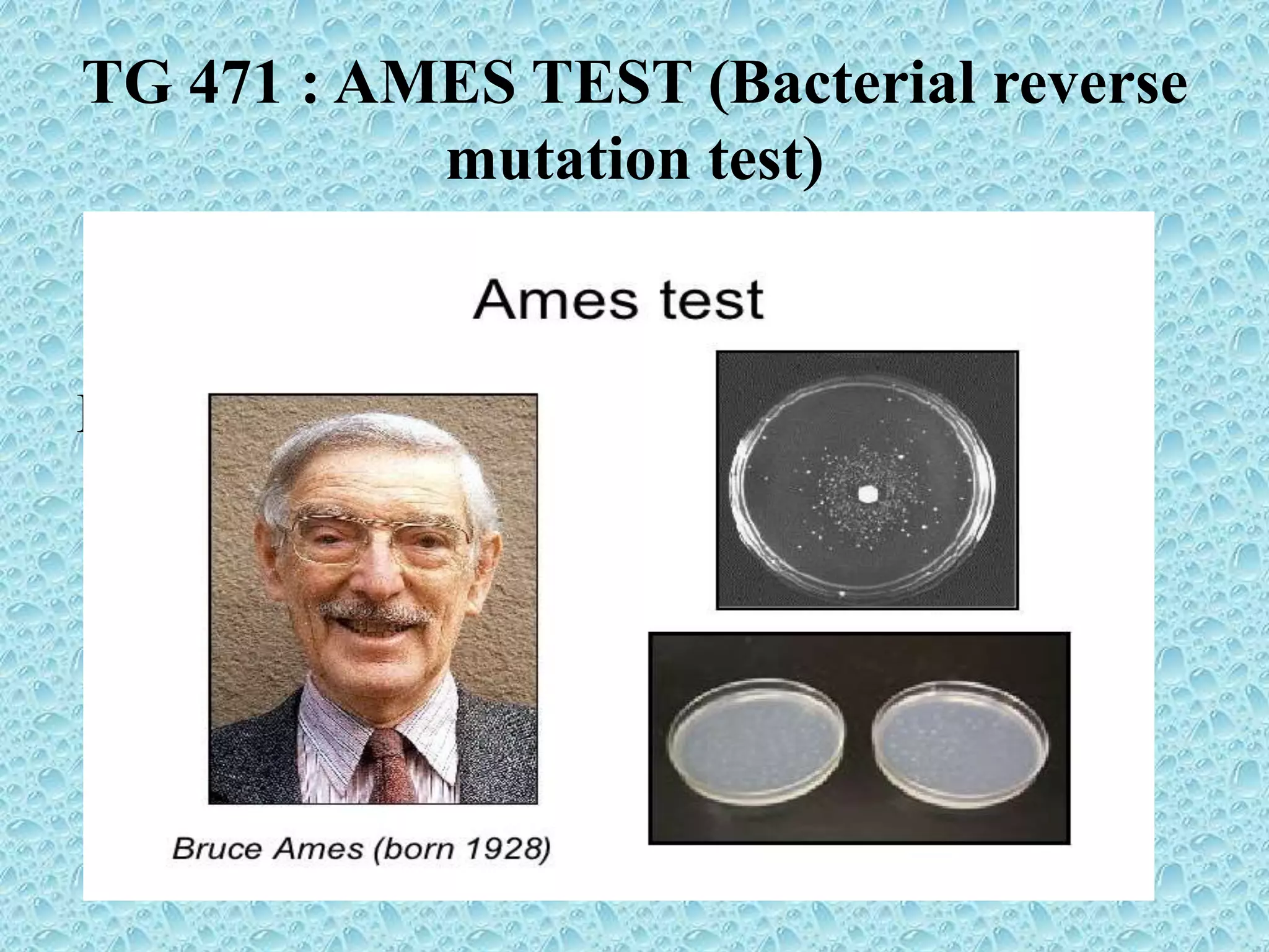 TG 471 : AMES TEST (Bacterial reverse
mutation test)
Bacteria : Salmonella typhimurium or strains
E.coli.
 