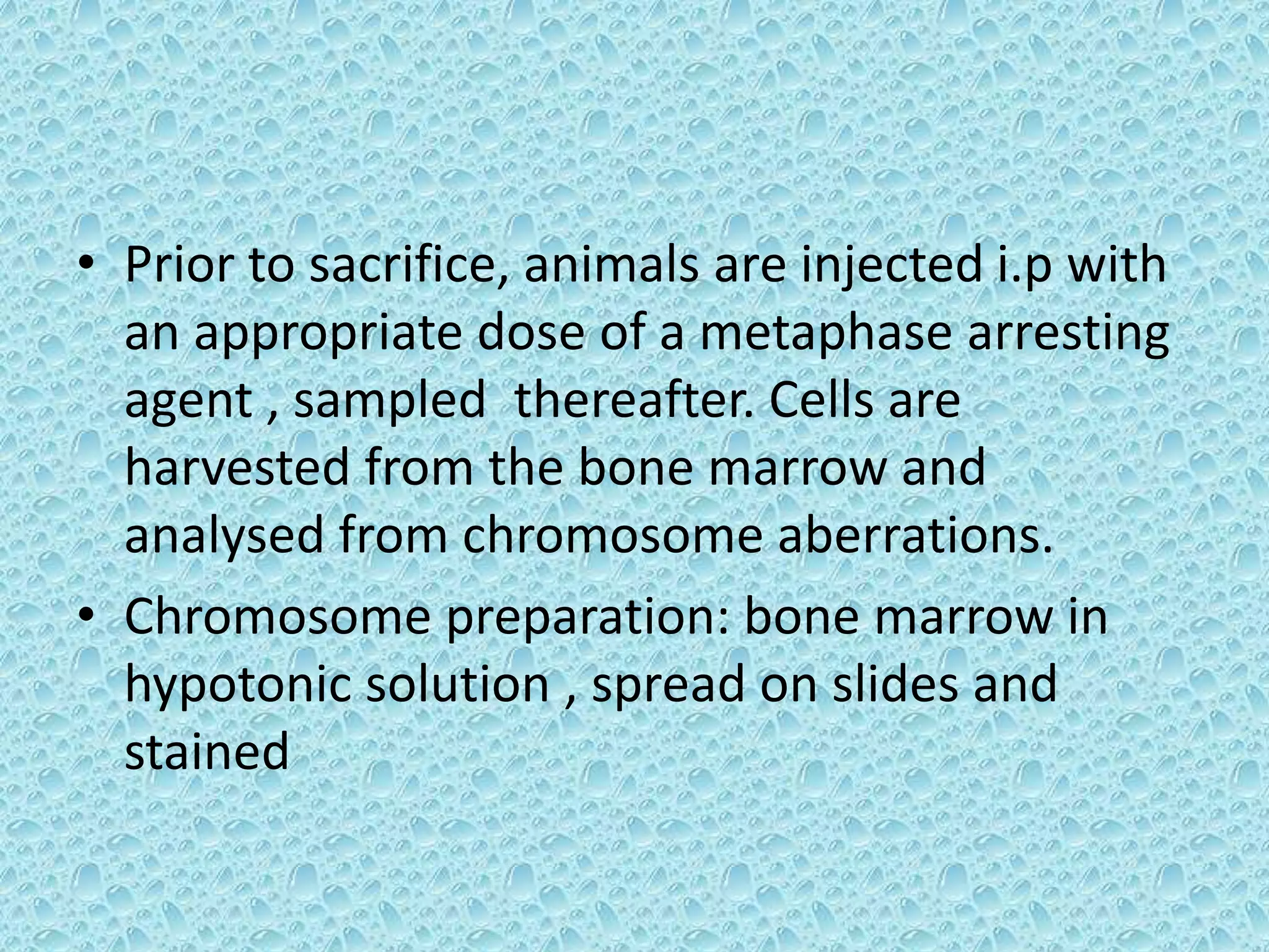 • Prior to sacrifice, animals are injected i.p with
an appropriate dose of a metaphase arresting
agent , sampled thereafter. Cells are
harvested from the bone marrow and
analysed from chromosome aberrations.
• Chromosome preparation: bone marrow in
hypotonic solution , spread on slides and
stained
 
