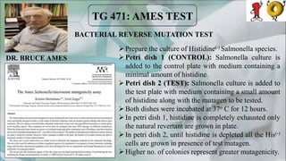 BACTERIAL REVERSE MUTATION TEST
Prepare the culture of Histidine(-) Salmonella species.
Petri dish 1 (CONTROL): Salmonella culture is
added to the control plate with medium containing a
minimal amount of histidine.
Petri dish 2 (TEST): Salmonella culture is added to
the test plate with medium containing a small amount
of histidine along with the mutagen to be tested.
Both dishes were incubated at 37o C for 12 hours.
In petri dish 1, histidine is completely exhausted only
the natural revertant are grown in plate.
In petri dish 2, until histidine is depleted all the His(-)
cells are grown in presence of test mutagen.
Higher no. of colonies represent greater mutagenicity.
Control
DR. BRUCE AMES
 