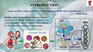 Genes are like a story and DNA is the language that the story is written in.
- Sam Kean
Gene1, unit of hereditary information that
occupies a fixed position (locus) on
a chromosome. Genes achieve their effects
by directing the synthesis of proteins.
 