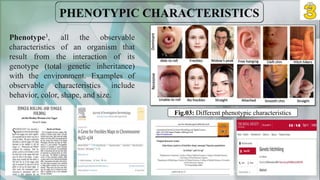 Phenotype3, all the observable
characteristics of an organism that
result from the interaction of its
genotype (total genetic inheritance)
with the environment. Examples of
observable characteristics include
behavior, color, shape, and size.
Fig.03: Different phenotypic characteristics
 
