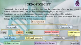  Genotoxicity is a word used in genetics, that has the destructive effects on the genetic
material of the cell (DNA, RNA), thus affecting the integrity of the cell.
 Genotoxins are one type of mutagens that causes genotoxicity followed by mutation.
 Genetic toxicology is the branch of toxicology that deals with those substances that can
damage the genetic makeup even a chromosome.
Genotoxic risk
Somatic cells Germ cells
Aging Cancer Sterility Genetic diseases Multifactorial
diseases
Cystic fibrosis Sickle cell anaemia Haemophilia
Diabetes mellitus Cardio-vascular diseases Psychosis
 