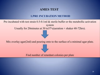 14
AMES TEST
1.PRE INCUBATION METHOD
Pre incubated with test strain 0.5-0.1ml & sterile buffer or the metabollic activatio...