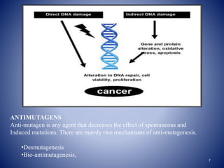 ANTIMUTAGENS
Anti-mutagen is any agent that decreases the effect of spontaneous and
Induced mutations. There are mainly tw...