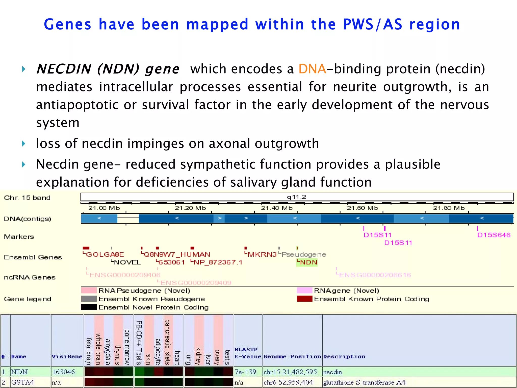 Jul 237 Genotype Phenotype Correlation In Prader Willi Syndrome | PPT