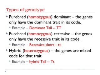 Genotype Vs Phenotype Examples