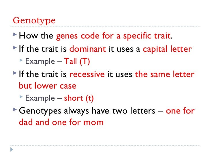 Genotype And Phenotype Genotype And Phenotype