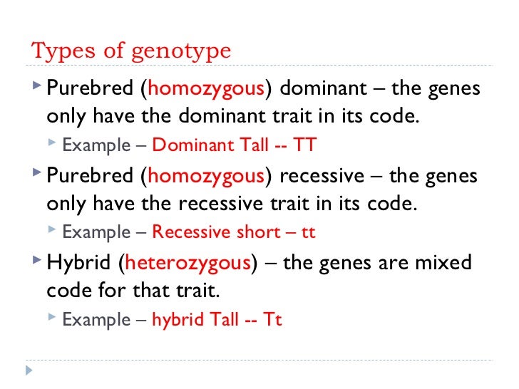 genotype and phenotype genotype example