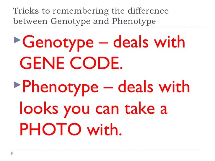 phenotype and genotype