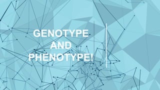 Explanation on the difference of phenotype and genotype of organisms ...