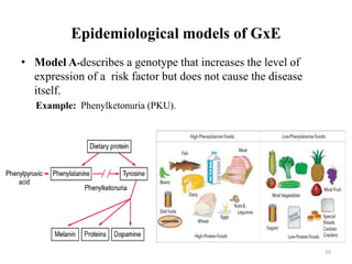 Epidemiological models of GxE
• Model A-describes a genotype that increases the level of
expression of a risk factor but does not cause the disease
itself.
Example: Phenylketonuria (PKU).
10
 