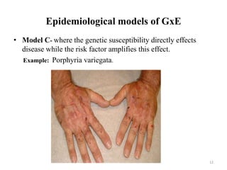 Epidemiological models of GxE
• Model C- where the genetic susceptibility directly effects
disease while the risk factor amplifies this effect.
Example: Porphyria variegata.
12
 