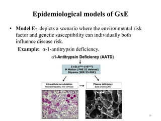 Epidemiological models of GxE
• Model E- depicts a scenario where the environmental risk
factor and genetic susceptibility can individually both
influence disease risk.
Example: α-1-antitrypsin deficiency.
14
 