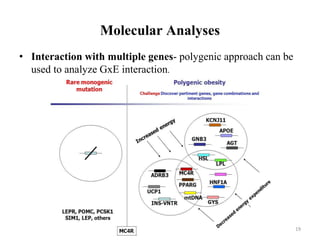 Molecular Analyses
• Interaction with multiple genes- polygenic approach can be
used to analyze GxE interaction.
19
 