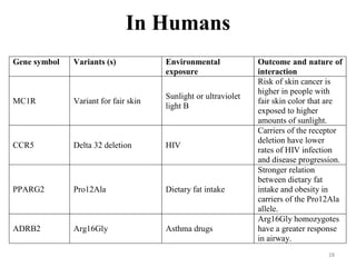In Humans
28
Gene symbol Variants (s) Environmental
exposure
Outcome and nature of
interaction
MC1R Variant for fair skin
Sunlight or ultraviolet
light B
Risk of skin cancer is
higher in people with
fair skin color that are
exposed to higher
amounts of sunlight.
CCR5 Delta 32 deletion HIV
Carriers of the receptor
deletion have lower
rates of HIV infection
and disease progression.
PPARG2 Pro12Ala Dietary fat intake
Stronger relation
between dietary fat
intake and obesity in
carriers of the Pro12Ala
allele.
ADRB2 Arg16Gly Asthma drugs
Arg16Gly homozygotes
have a greater response
in airway.
 
