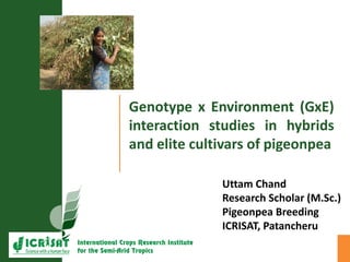Genotype x Environment (GxE)
interaction studies in hybrids
and elite cultivars of pigeonpea
Uttam Chand
Research Scholar (M.Sc.)
Pigeonpea Breeding
ICRISAT, Patancheru
 