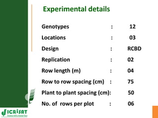 Genotype x Environment (GxE) interaction studies in hybrids and elite cultivars of pigeonpea